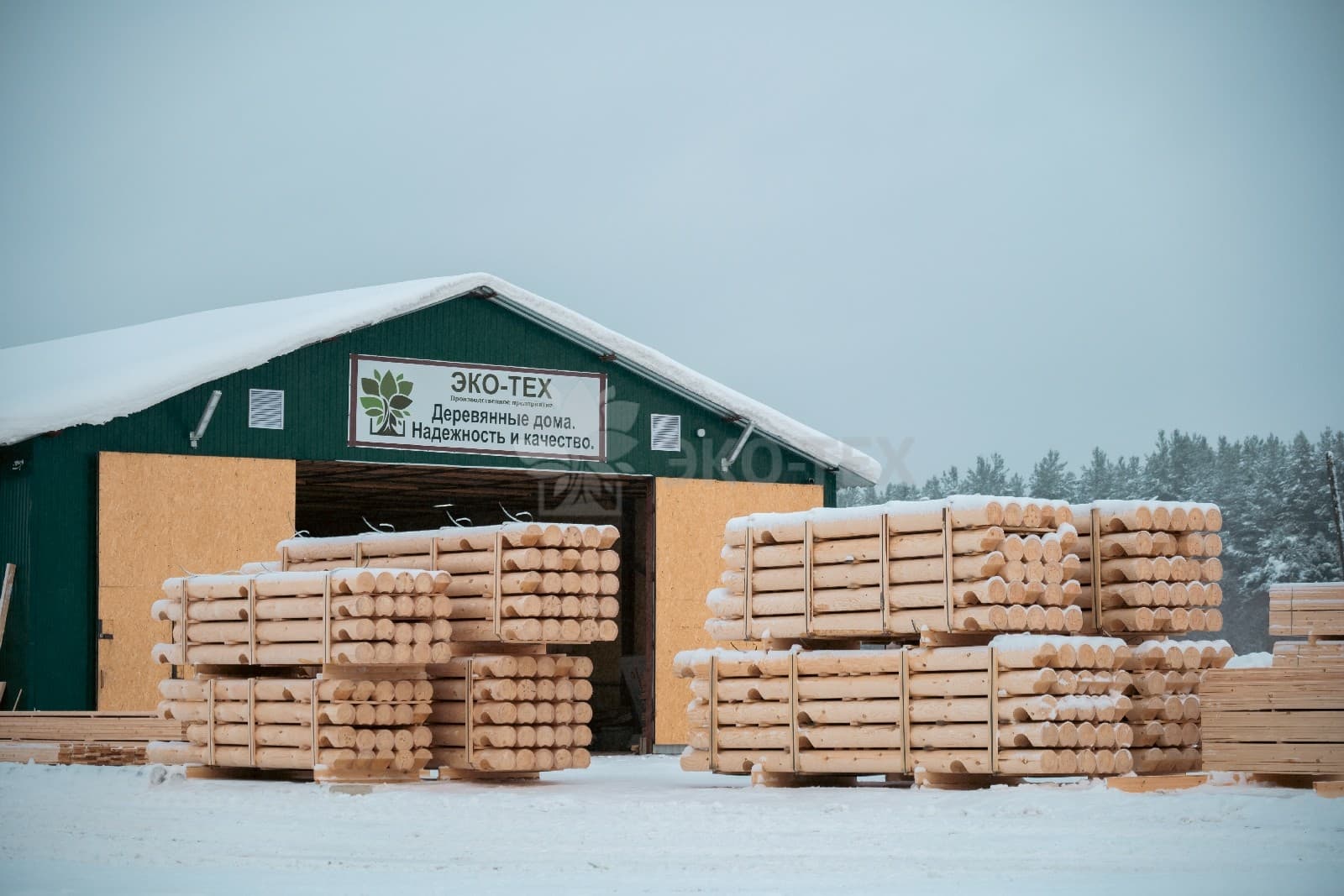 Заготавливаем  50000 м³ древесных пород в год