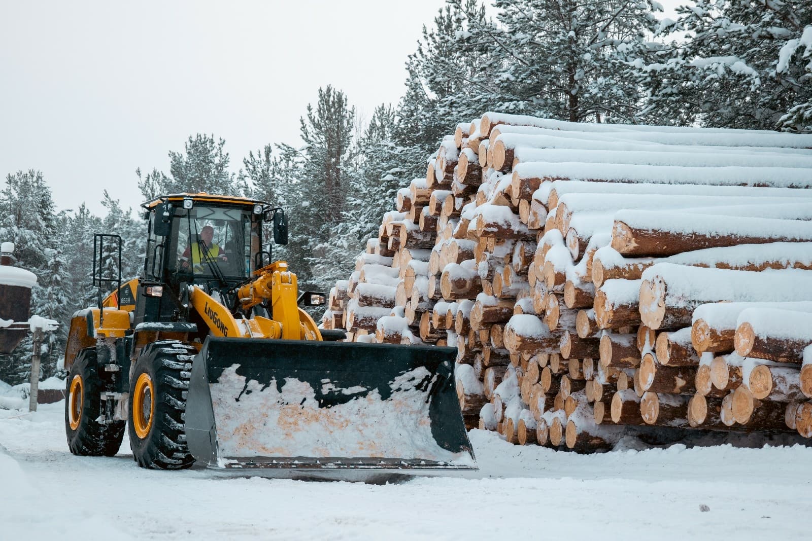 Процесс лесозаготовки компании ЭКО-ТЕХ в Архангельской области