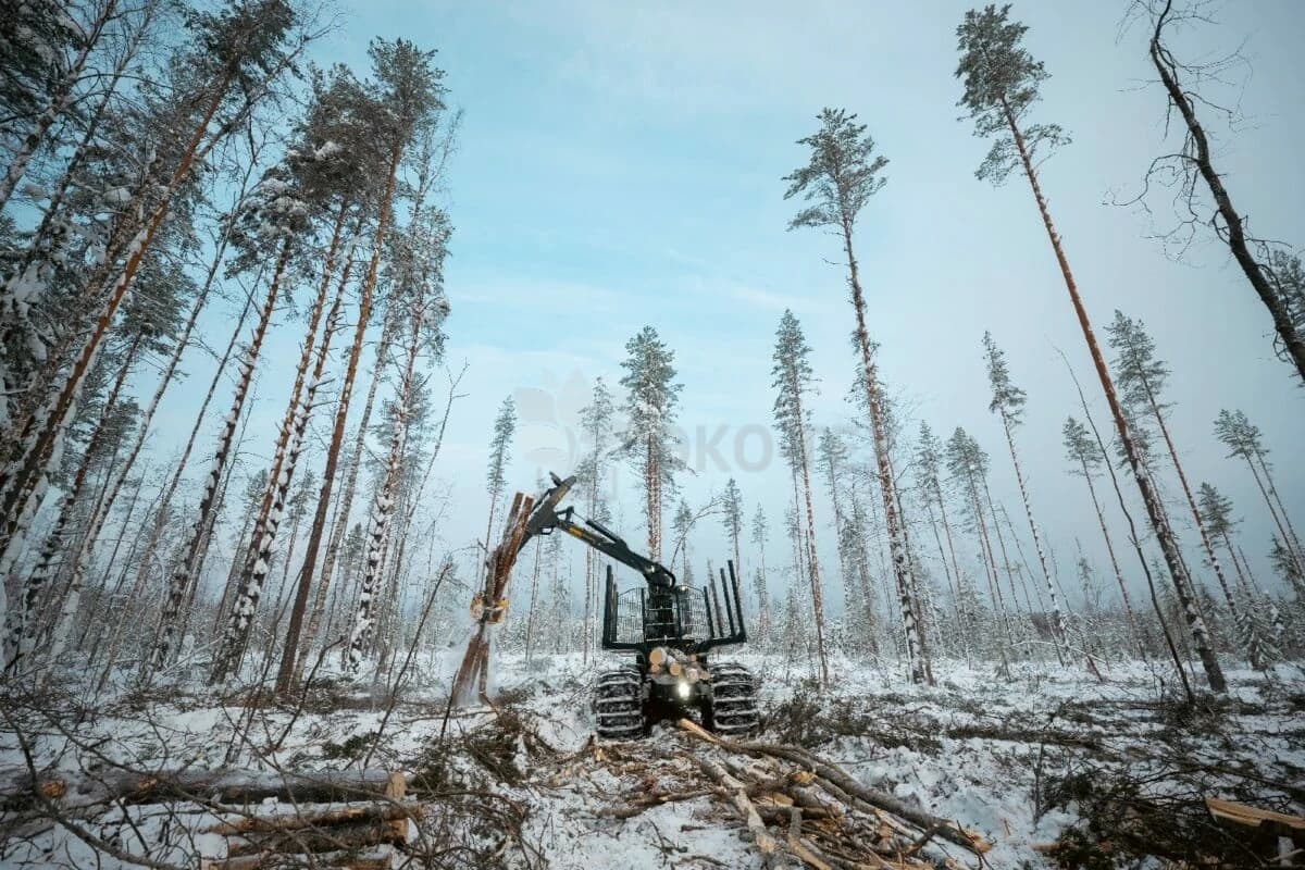 Часто задаваемые вопросы