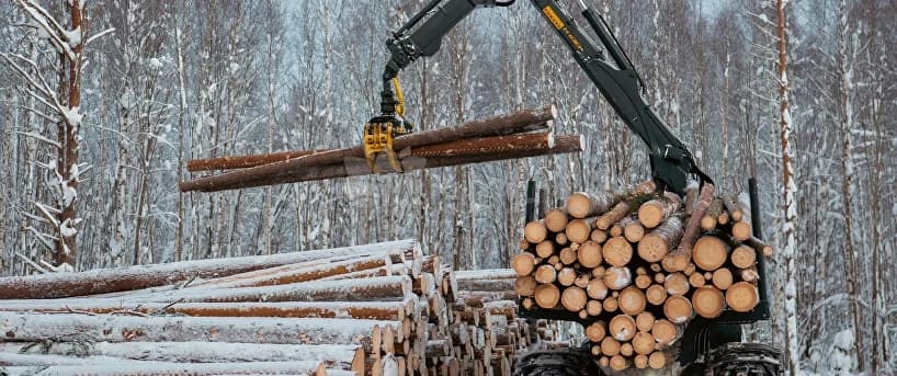 Опыт работы