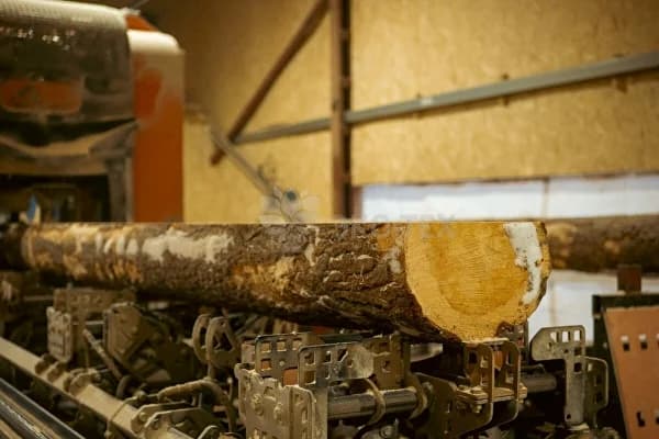 Углопильный станок