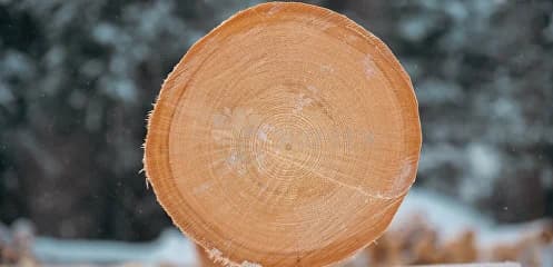 Рубленное бревно