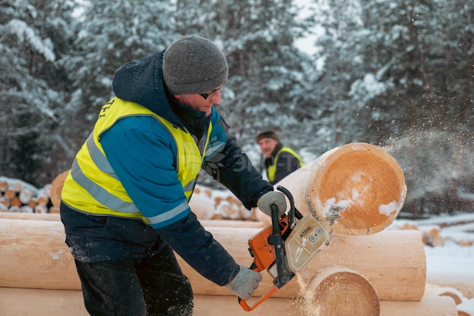 Фотография дома