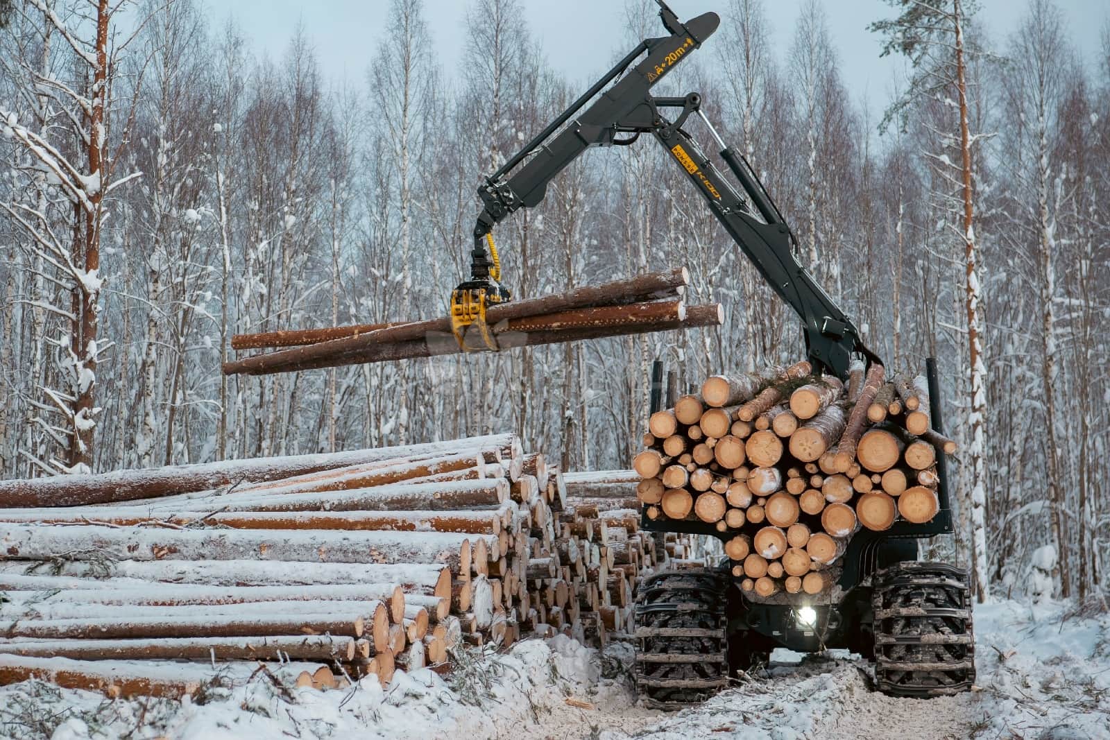 Фотография дома