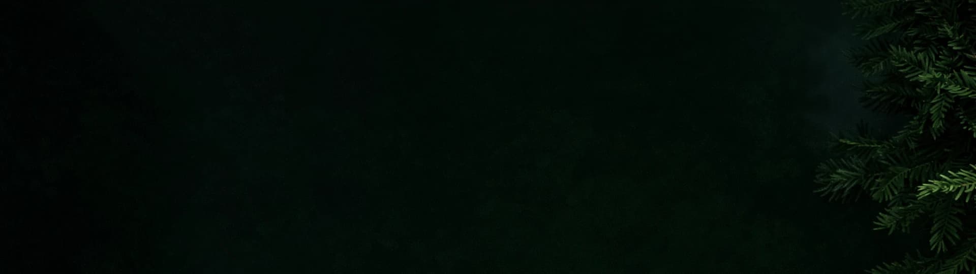 Программа лояльности