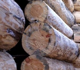 Проблемы с деревом