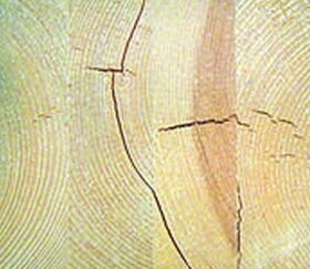 Фото типичных дефектов некачественного клееного бруса