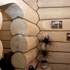 Фото строительство деревянных домов из бревен большого диаметра