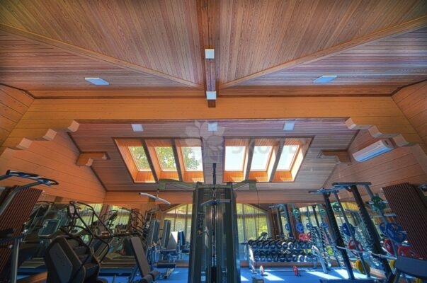 Фото дом с бассейном и спортзалом из клееного бруса