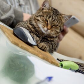 Фото выставка домов на МКАД 51 км.