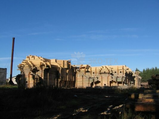История Эко-тех самый большой в мире дом ручной рубки