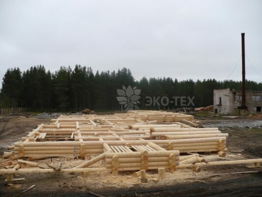 История Эко-тех самый большой в мире дом ручной рубки