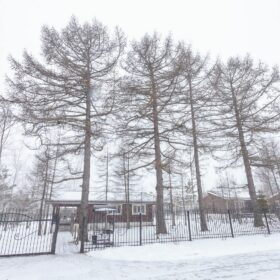 Эко-тех строительство и обустройство коттеджного поселка "Александрово"