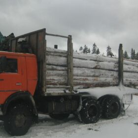 Эко-тех заготовка леса