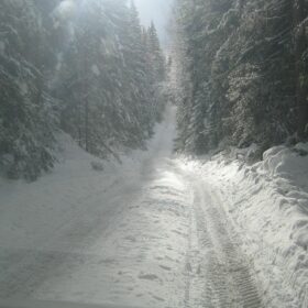 Эко-тех заготовка леса