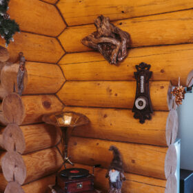 Эко-тех проект Ньютон рубленное бревно