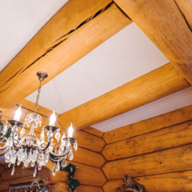 Эко-тех проект Ньютон рубленное бревно