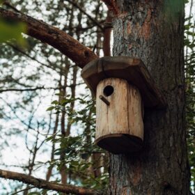 Эко-тех проект Тамерлан оцилиндрованное бревно