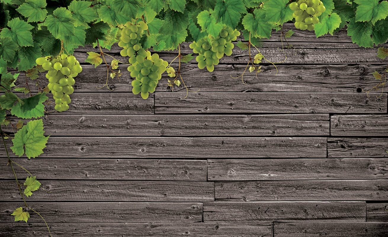 ecotechstroy.ru