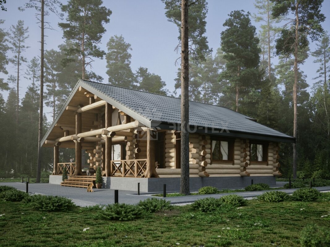 Дои из рубленного бревна Котка