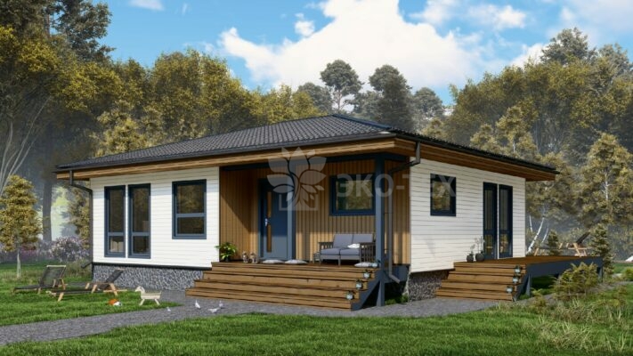 Каркасный дом Мята