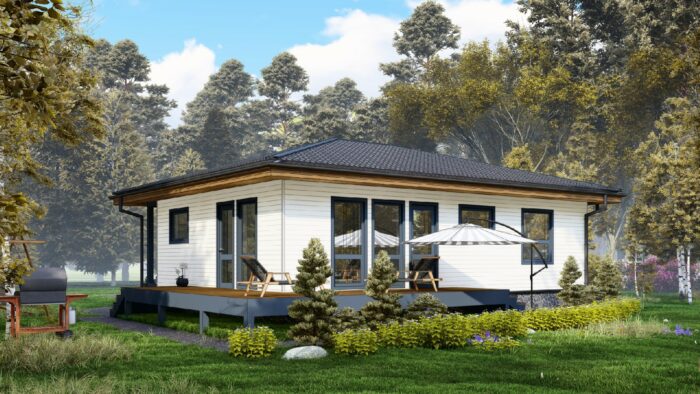 Каркасный дом Мята