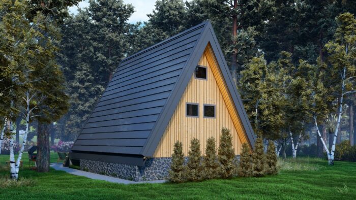 Каркасный дом Туя