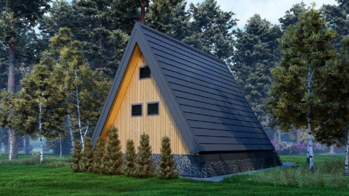 Каркасный дом Туя